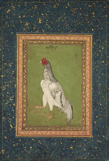 Rooster, c. 1620. Creator: Unknown