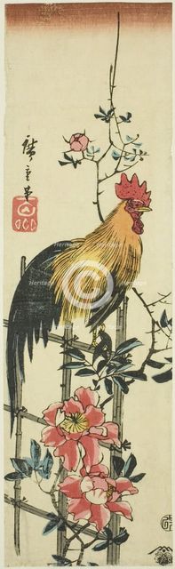 Rooster perched on rose trellis, 1854. Creator: Ando Hiroshige.