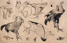 Roosters, Ducks, etc., 1866. Creators: Felix Bracquemond, Hokusai