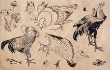 Roosters, Ducks, etc., 1866. Creators: Felix Bracquemond, Hokusai