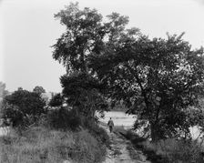 Root River rapids, riverside road, Racine, Wis., between 1880 and 1899. Creator: Unknown