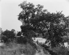 Root River rapids, riverside road, Racine, Wis., between 1880 and 1899. Creator: Unknown