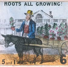 Roots all Growing! Cries of London, c1840. Artist: TH Jones