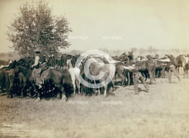 Roping and changing scene at --T Camp on round up of --T 999 --S & G, AUT..., between 1887 and 92. Creator: John C. H. Grabill.