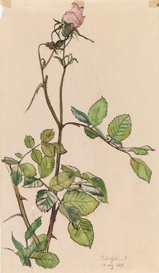 Rose, 1898. Creator: Albert Edelfelt