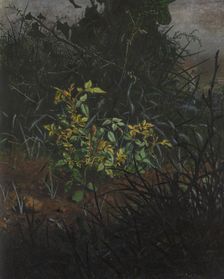 Rose Bush in a Thicket, 1865. Creator: Leon Bonvin