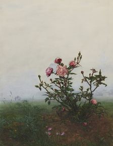 Rose Bush in front of a Landscape, 1863. Creator: Leon Bonvin