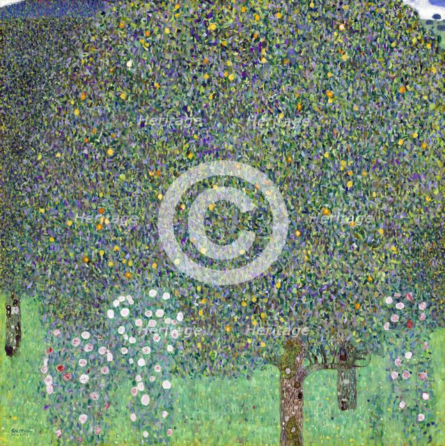 Rose Bushes under the Trees, c. 1905. Artist: Klimt, Gustav (1862-1918)