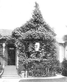 Rose Cottage, South Spring Street, Los Angeles, California, USA, c1900. Creator: Unknown