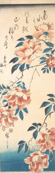 Rose. Creator: Ando Hiroshige