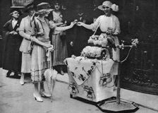 Rose Day London, 1926-1927