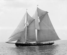 Rose Dorothea, winner of Lipton Cup, in first [?] Fishermen's Race, 1907. Creator: Unknown