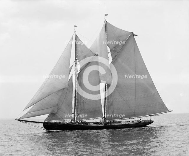 Rose Dorothea, winner of Lipton Cup, in first [?] Fishermen's Race, 1907. Creator: Unknown.