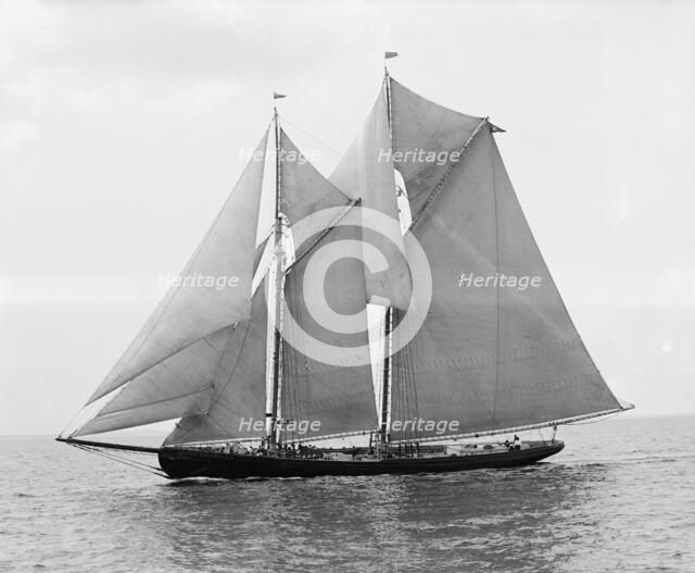 Rose Dorothea, winner of Lipton Cup, in first [?] Fishermen's Race, 1907. Creator: Unknown.