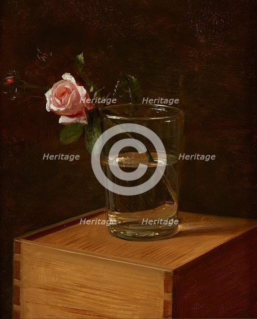 Rose in a glass, 1849. Creator: Franz Kruger.
