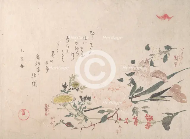 Rose, Iris, Primrose and Daisy, 1815. Creator: Kubo Shunman.