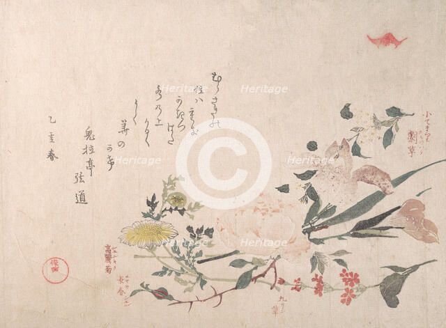 Rose, Iris, Primrose and Daisy, 1815. Creator: Kubo Shunman.