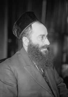 Rosenblatt, between c1915 and c1920. Creator: Bain News Service