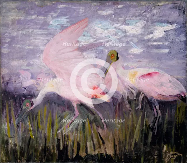 Roseate Spoonbills, study for book Concealing Coloration in the Animal Kingdom, ca. 1905-1909. Creator: Abbott Handerson Thayer.