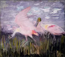 Roseate Spoonbills, study for book Concealing Coloration in the Animal Kingdom, ca. 1905-1909. Creator: Abbott Handerson Thayer