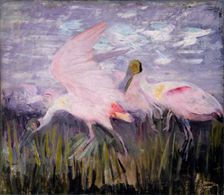 Roseate Spoonbills, study for book Concealing Coloration in the Animal Kingdom, ca. 1905-1909. Creator: Abbott Handerson Thayer