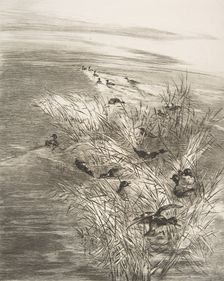 Roseaux et Sarcelles, 1882. Creator: Felix Bracquemond