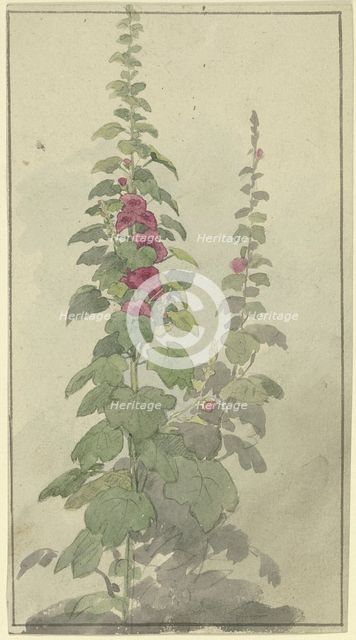 Rosellas, 19th century. Creator: Jakob Becker.