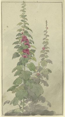 Rosellas, 19th century. Creator: Jakob Becker