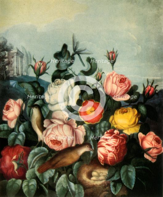 'Roses', 1799, (1944).  Creator: Richard Earlom.