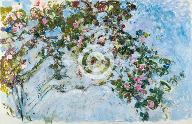Roses, 1925-1926.