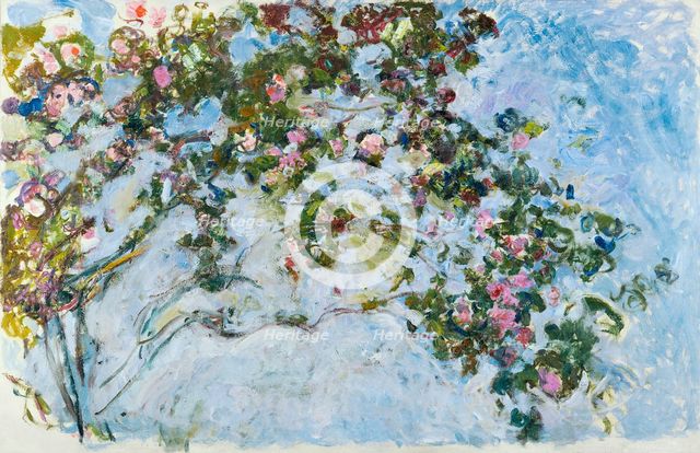 Roses, 1925-1926.