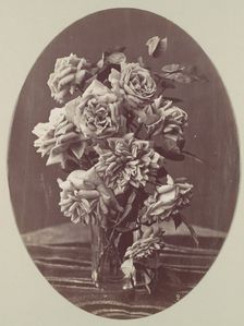 [Roses], ca. 1875. Creator: Eugène Chauvigné