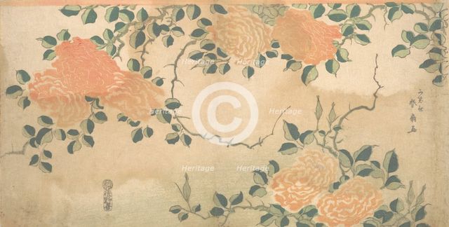 Roses, ca. 1810. Creator: Kashosai Shunsen.