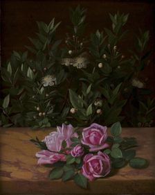 Roses and Myrtles, 1876. Creator: Otto Didrik Ottesen