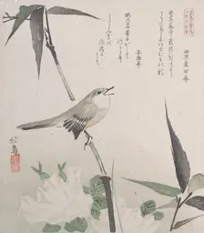 Roses and Bamboo with Nightingale, 19th century., 19th century. Creator: Hokuba