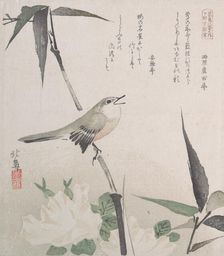 Roses and Bamboo with Nightingale, 19th century., 19th century. Creator: Hokuba