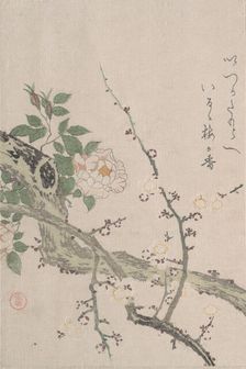 Roses and Plum Blossoms, 19th century. Creator: Kubo Shunman