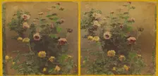 Roses., about 1865-1875. Creator: Benjamin West Kilburn