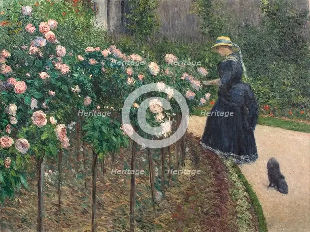 Roses, Garden at Petit Gennevilliers, 1886.