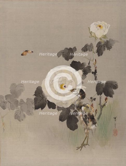 Roses, Young Bird and a Butterfly, ca. 1887. Creator: Watanabe Seitei.