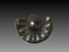 Rosette for Wig Decoration , 1980-1801 BC. Creator: Unknown
