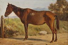 Rosinante (Study of an old standing horse), c1847. Creator: Wilhelm Marstrand