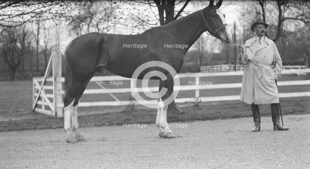 Rossbach, Max, Mr., with horse, 1932 May 1. Creator: Arnold Genthe.