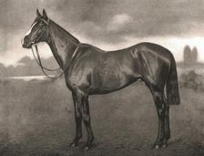 Ross, 1911. Creator: Unknown