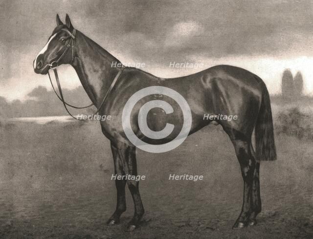 Ross, 1911.  Creator: Unknown.