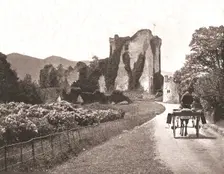 Ross Castle, Isle of Ross, County Kerry, Ireland, 1894. Creator: Unknown