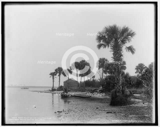 Ross Point on the Halifax, Fla., between 1880 and 1897. Creator: William H. Jackson.