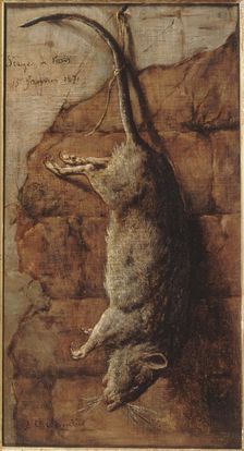 Rat ayant servi à l'alimentation pendant le siège de Paris, 15–01–1871. Creator: Auguste Charpentier