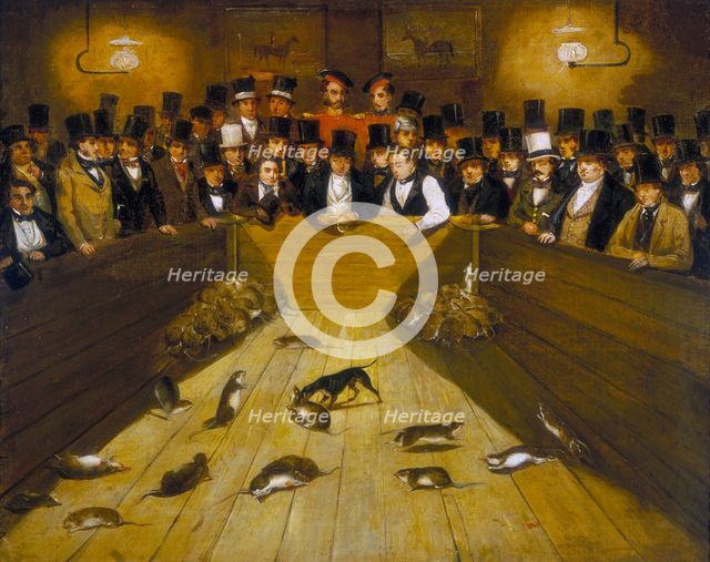 'Rat-Catching at the Blue Anchor Tavern, Bunhill Row, Finsbury', c1850. Creator: Unknown.