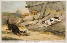 Rat Hunting 1823. Creator: Unknown